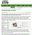 Umelecký web nad zlato